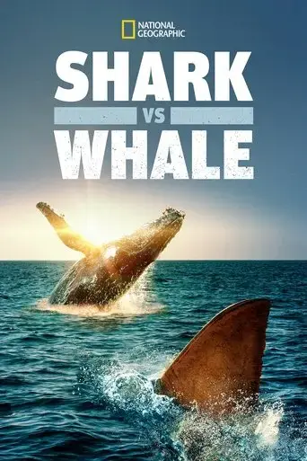 shark-vs-whale-2020