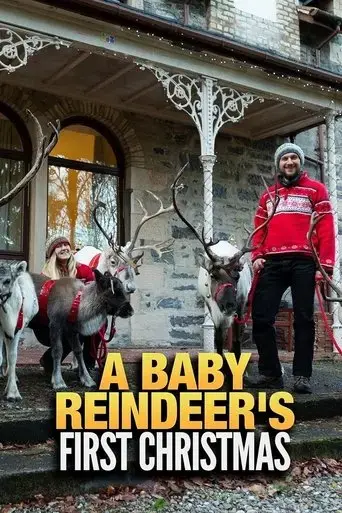 a-baby-reindeer-s-first-christmas-2020