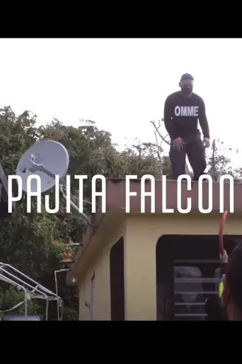 pajita-falcon-2024