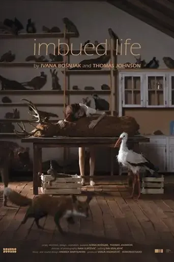 imbued-life-2019