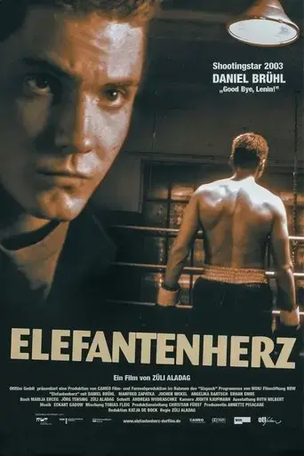 elefantenherz-2002