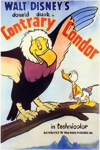 contrary-condor-1944