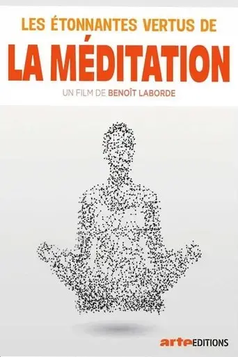 les-etonnantes-vertus-de-la-meditation-2017