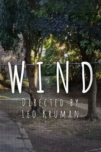 wind-2024
