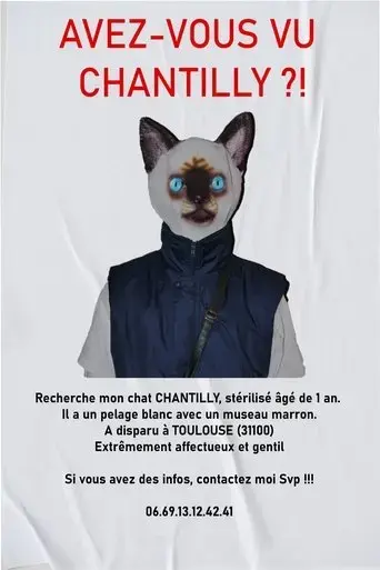 avez-vous-vu-chantilly-2023