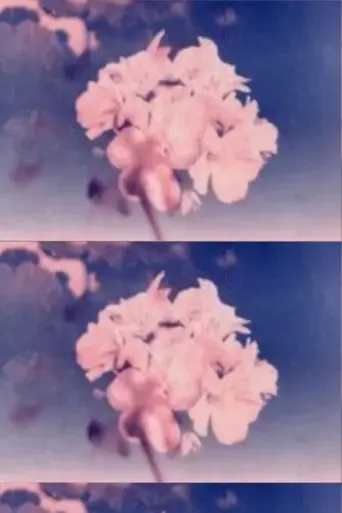 wild-flower-2025