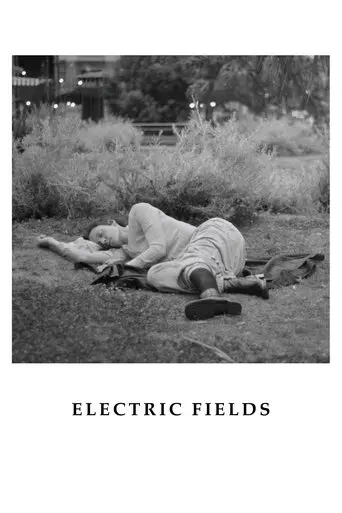 electric-fields-2024