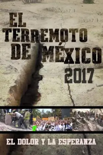 el-dolor-y-la-esperanza-2017