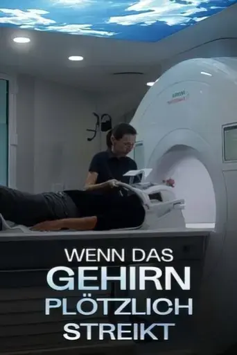 gedachtnisverlust-wenn-das-gehirn-plotzlich-streikt-2024