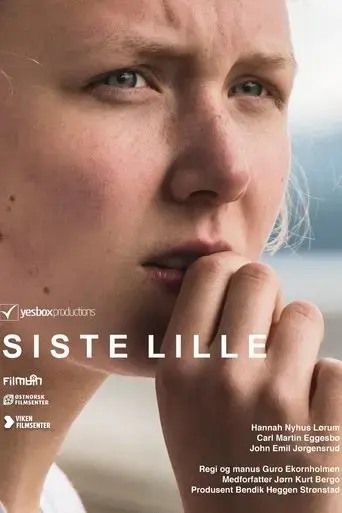 siste-lille-2017