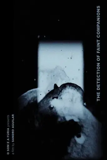 the-detection-of-faint-companions-2021