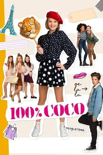 100-coco-2017