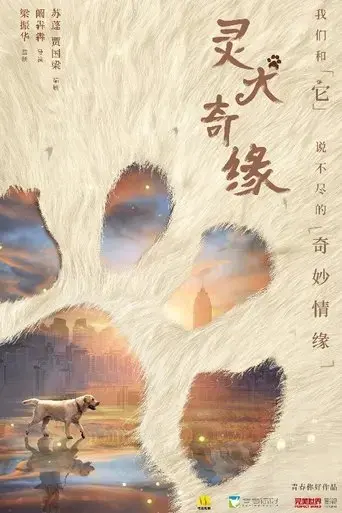 ling-quan-qi-yuan-2022