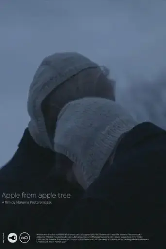 apple-from-apple-tree-2024