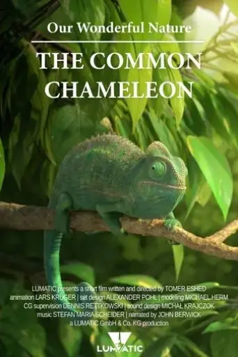 our-wonderful-nature-the-common-chameleon-2016