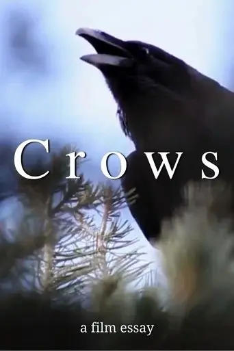 crows-a-film-essay-2022