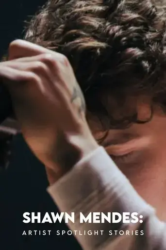 shawn-mendes-artist-spotlight-stories-2018