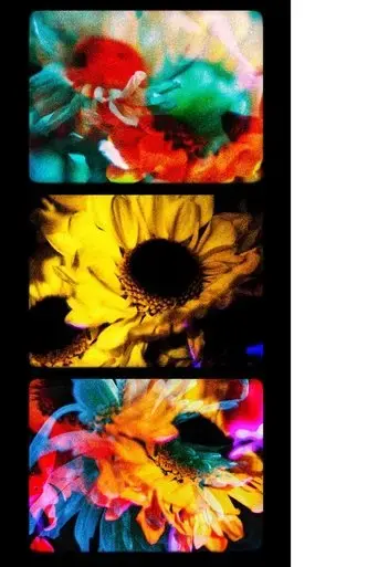 flowers-ii-2025