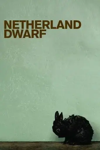 netherland-dwarf-2008