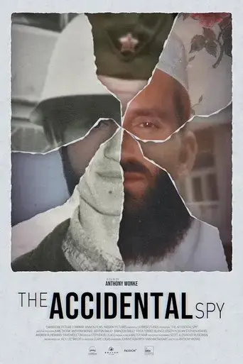 the-accidental-spy-2024