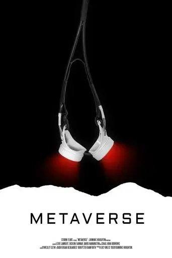 metaverse-2017