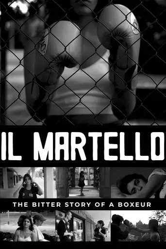 martello-2024