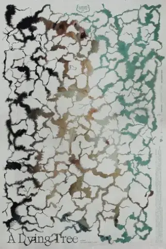 a-dying-tree-2025