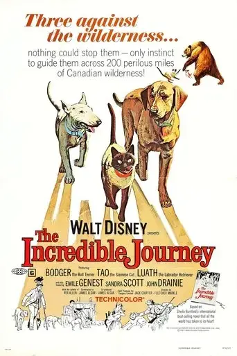 the-incredible-journey-1963