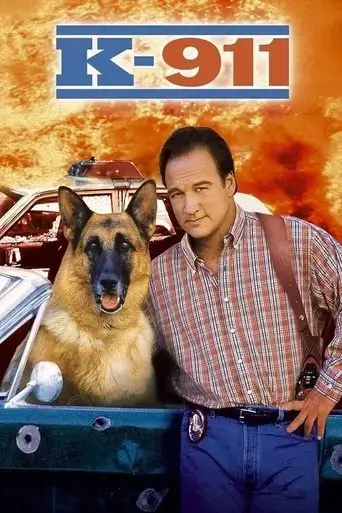 k-911-1999
