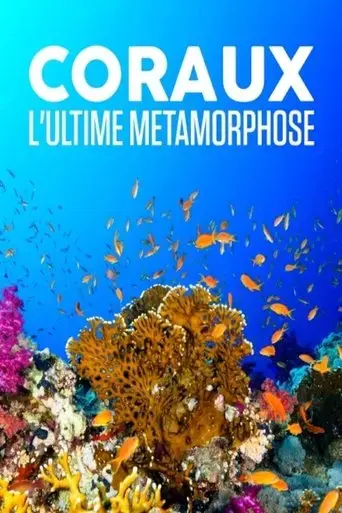 coraux-l-ultime-metamorphose-2019