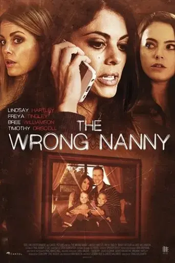the-wrong-nanny-2017