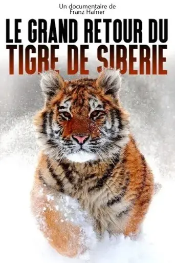 the-great-return-of-the-siberian-tiger-2021