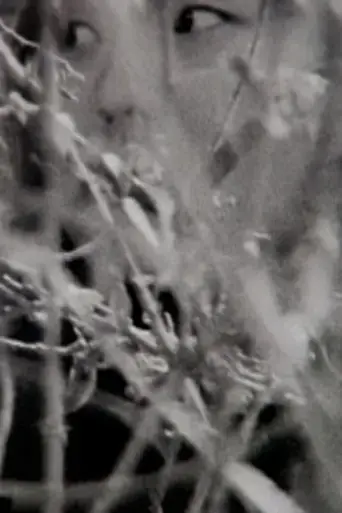visible-cinema-2013