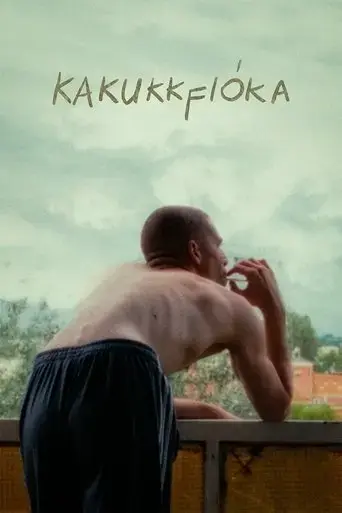 kakukkfioka-2022