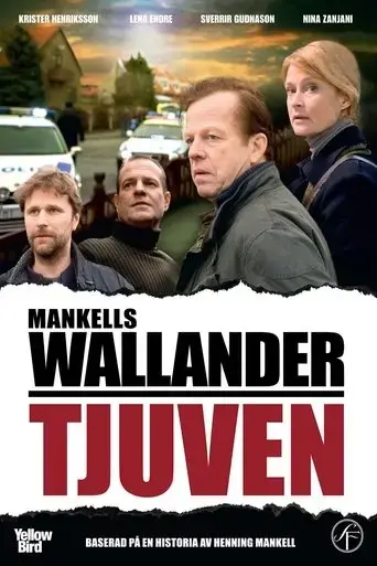 tjuven-2009