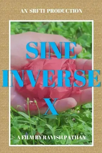 sine-inverse-x-2024