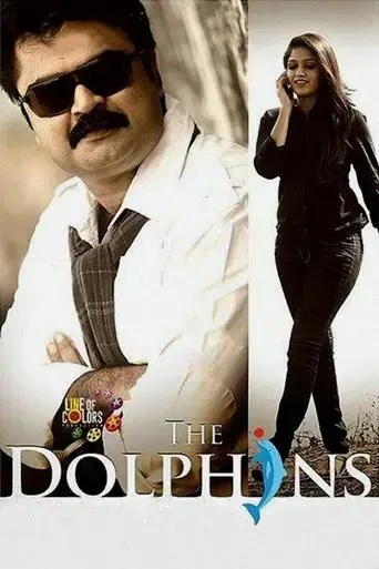 the-dolphins-2014