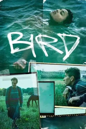 bird-2024