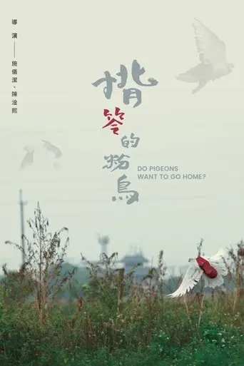 do-pigeons-want-to-go-home-2025