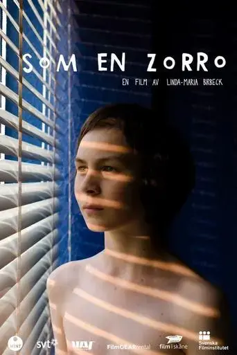 som-en-zorro-2012