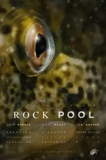 rock-pool-2025