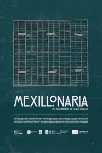 mexillonaria-2025