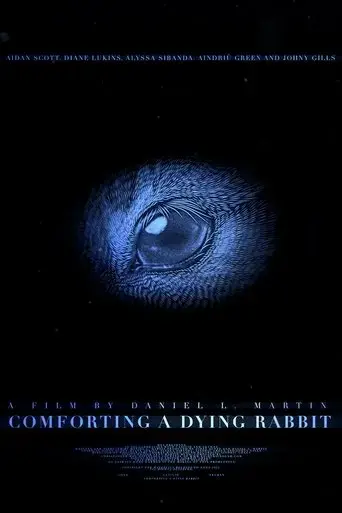 comforting-a-dying-rabbit-2024
