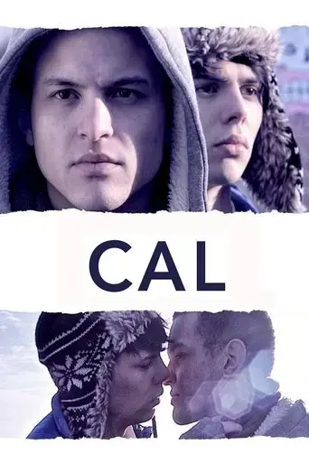 cal-2013