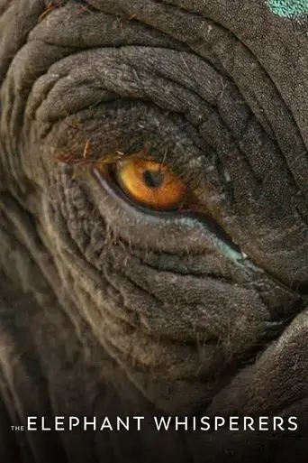 the-elephant-whisperers-2022