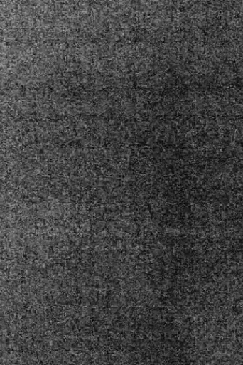 catatonik-2022