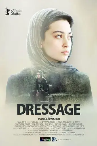 dressage-2019