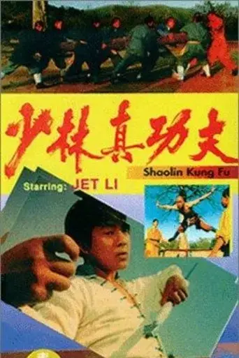 shaolin-kung-fu-1994