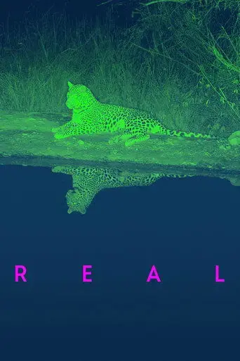 real-2024