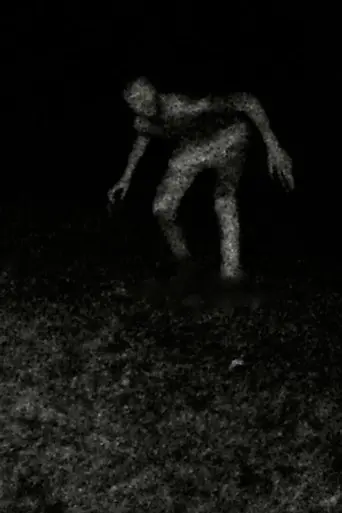 Stalking (2023) Poster